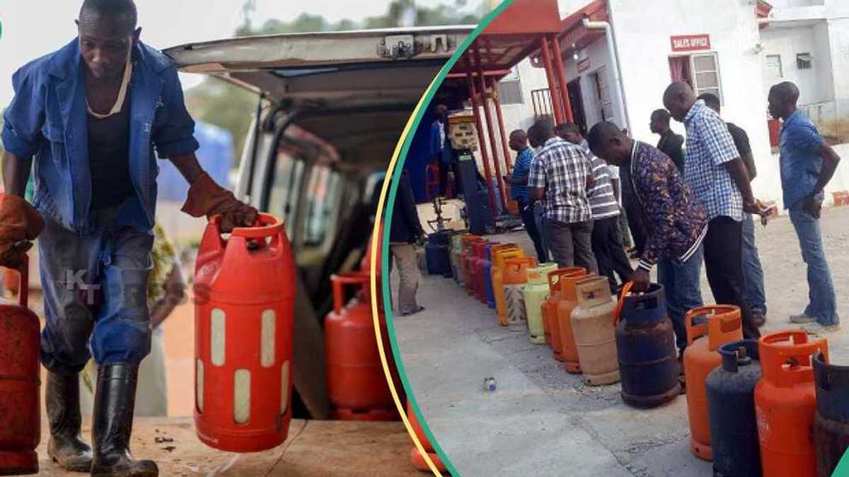 Cooking gas prices remain high despite zero tariffs, say marketers Nexovant