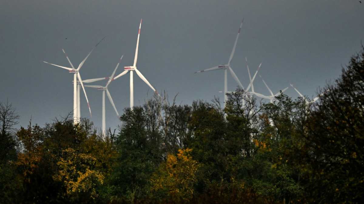 ‘Dark lull’ in German energy transition sparks political debate Nexovant