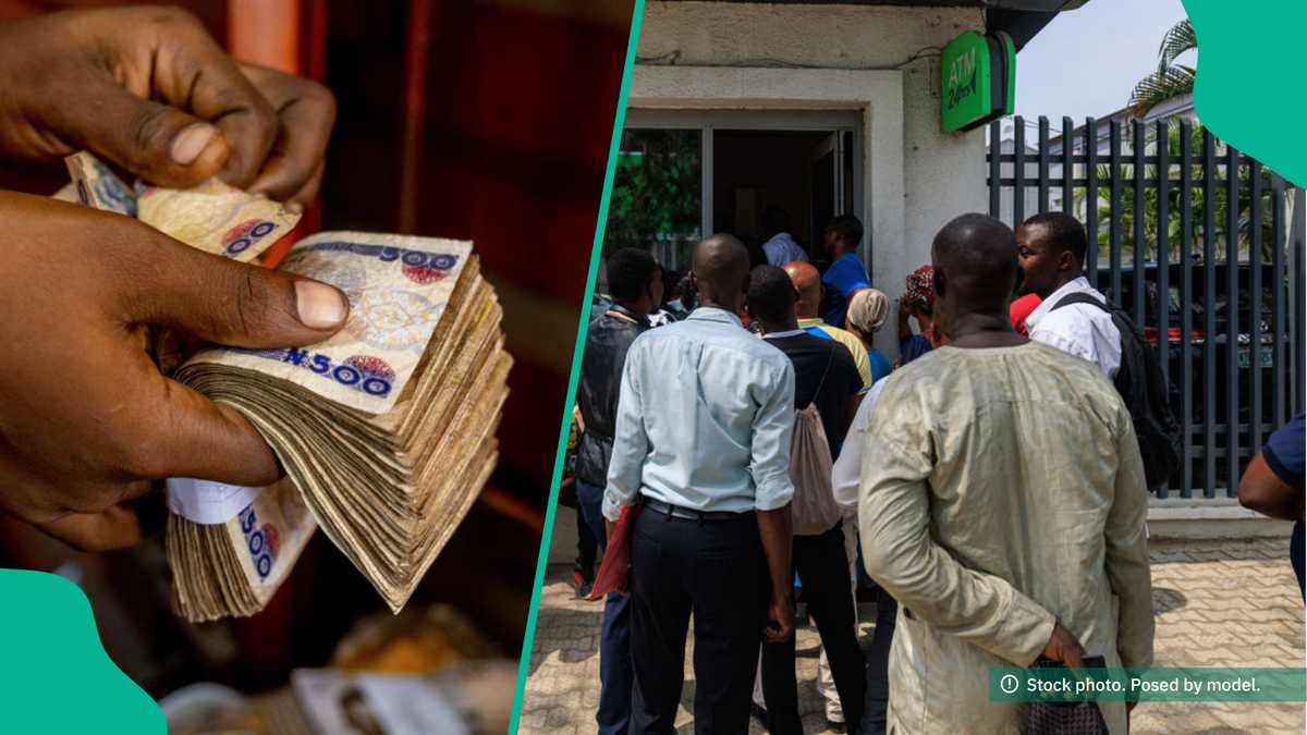 N150m for offenders: CBN names those behind cash scarcity, advises Nigerians Nexovant