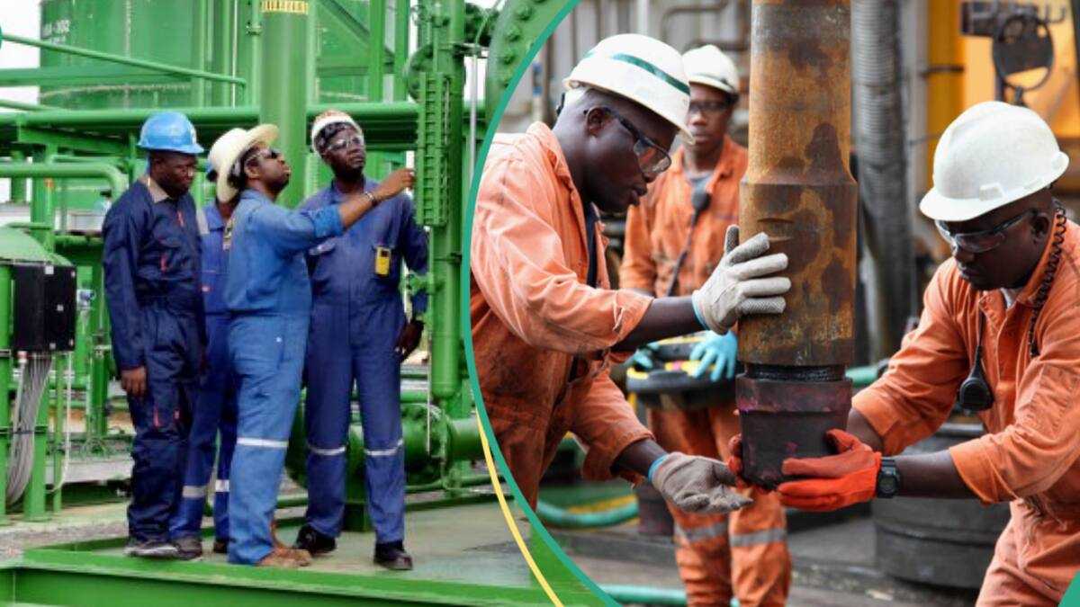 New fuel prices emerge as data shows Nigeria’s 4 most profitable oil firms Nexovant