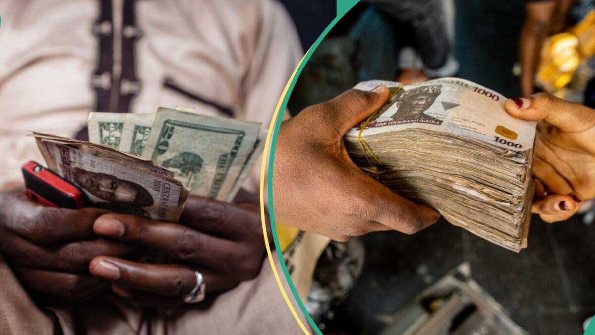 Naira gains N147 as new CBN platform boosts FX, experts explain reason Nexovant