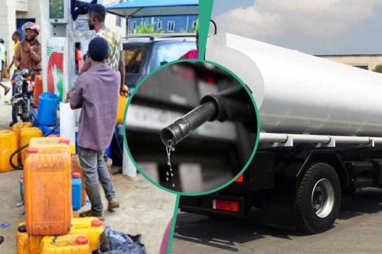 Fuel prices set to crash further, may drop to N500 per litre in 2025 Nexovant
