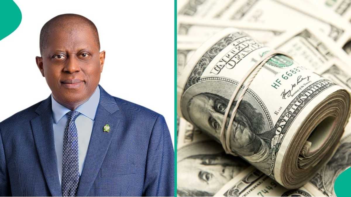 Nigeria receives $22.8 billion inflow into the economy, CBN explains Nexovant