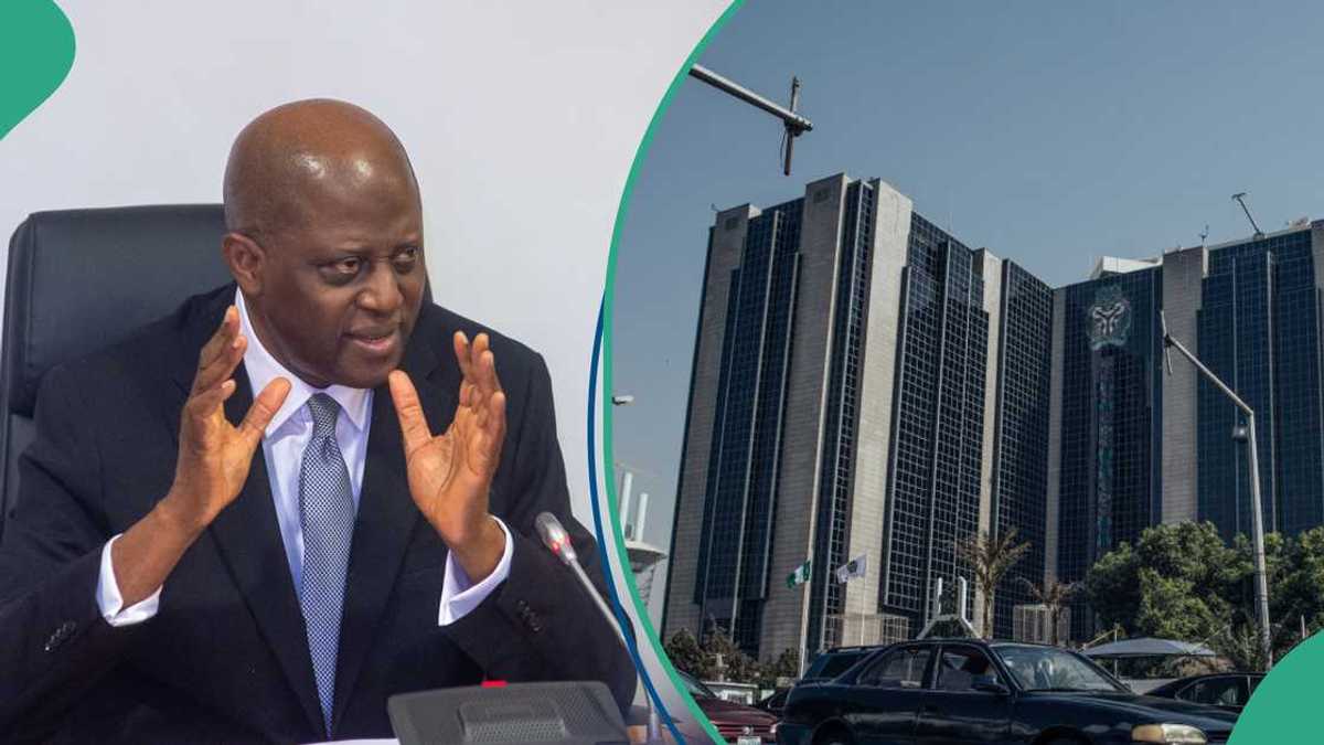 “Exchange rate”: CBN shares expectations for naira, economic growth in 2025 Nexovant