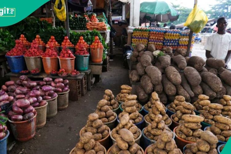 Nigeria’s food inflation in 2024: Experts break down the driving factors Nexovant